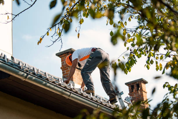 Quick and Trustworthy Emergency Roof Repair Services in Luverne, AL