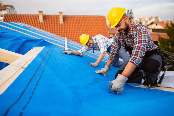 Best Roof Gutter Cleaning  in Luverne, AL